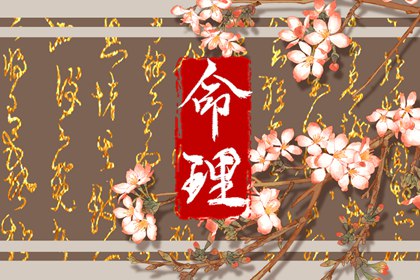 星尘算命紫微斗数 流年紫微排盘 天天命盘 问真紫微斗数排盘 本命盘免费查询 十二宫查询